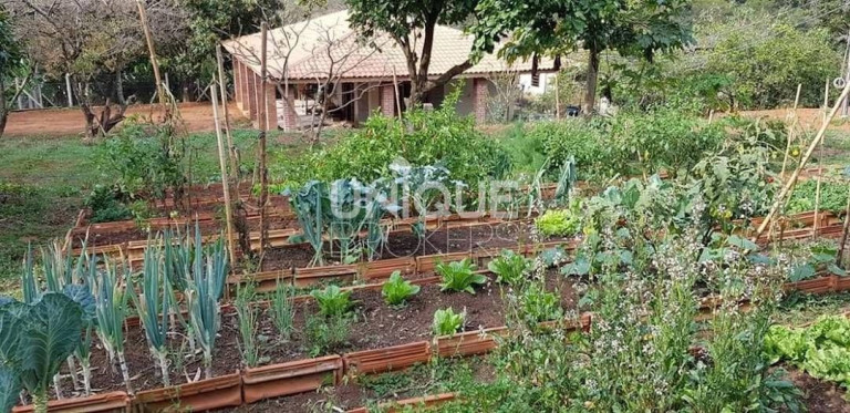 Imagem Fazenda à Venda, 49.000 m² em Jarinu