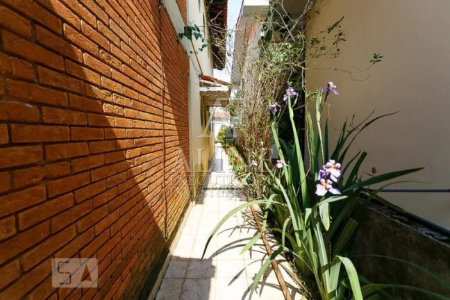 Imagem Casa com 3 Quartos à Venda, 4 m² em Vila Sônia - São Paulo