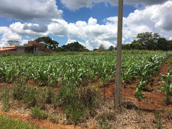 Imagem Terreno à Venda, 2.000 m² em Vila Nossa Senhora Aparecida - Boracéia Imagem Terreno à Venda, 2.000 m² em Vila Nossa Senhora Aparecida - Boracéia