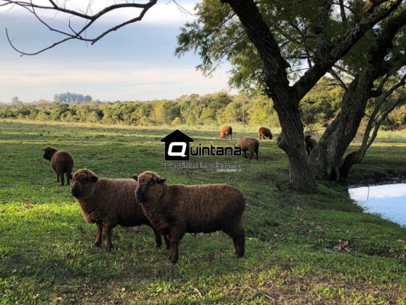 Imagem Imóvel com 2 Quartos à Venda, 180.000 m² em Povo Novo - Rio Grande Imagem Imóvel com 2 Quartos à Venda, 180.000 m² em Povo Novo - Rio Grande