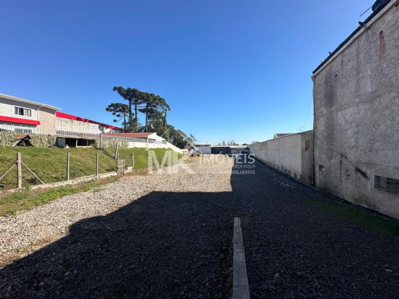 Imagem Terreno à Venda, 2.550 m² em Centro - Piraquara Imagem Terreno à Venda, 2.550 m² em Centro - Piraquara