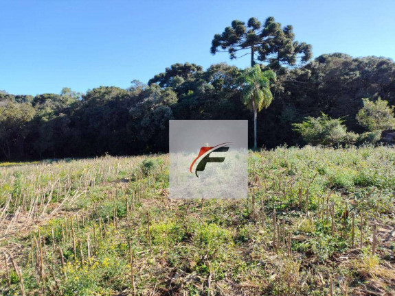 Terreno à Venda, 15.524 m² em Ganchinho - Curitiba