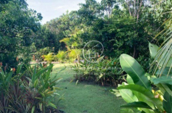 Imagem Casa com 5 Quartos à Venda, 292 m² em Praia Do Forte - Mata De São João Imagem Casa com 5 Quartos à Venda, 292 m² em Praia Do Forte - Mata De São João