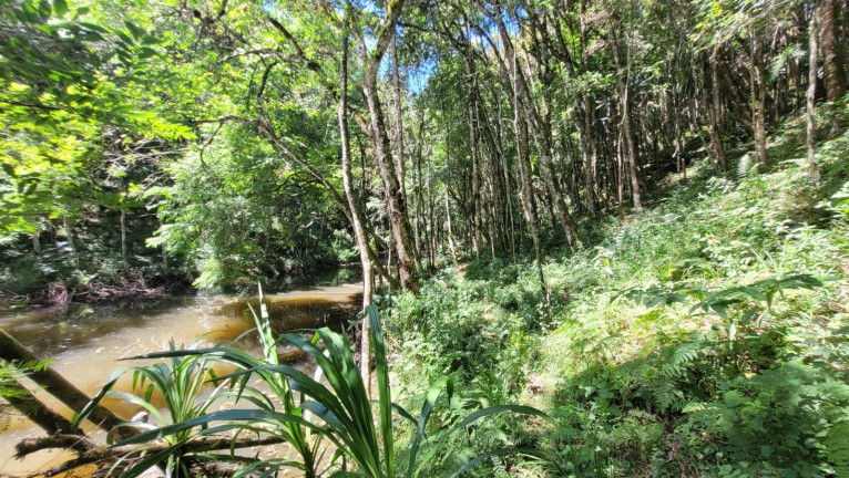 Imagem Fazenda à Venda,  em Imbuial - Campina Grande Do Sul