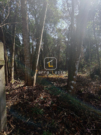 Imagem Terreno à Venda, 2.000 m² em Aranha - Brumadinho Imagem Terreno à Venda, 2.000 m² em Aranha - Brumadinho