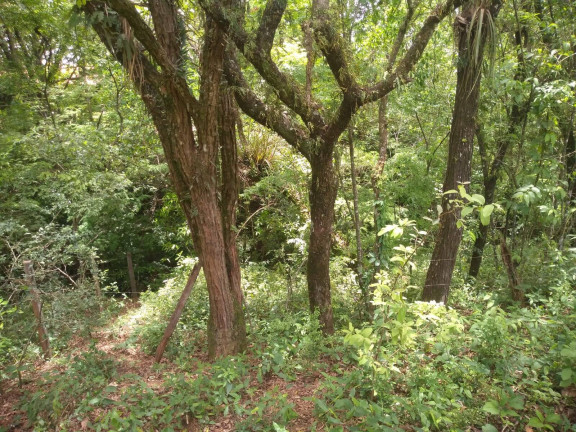 Imagem Chácara com 2 Quartos à Venda, 3.000 m² em Centro - Capela Do Alto Imagem Chácara com 2 Quartos à Venda, 3.000 m² em Centro - Capela Do Alto