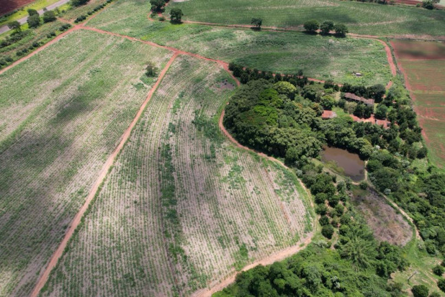 Imagem Chácara à Venda, 13 m² em Zona Rural - Casa Branca Imagem Chácara à Venda, 13 m² em Zona Rural - Casa Branca