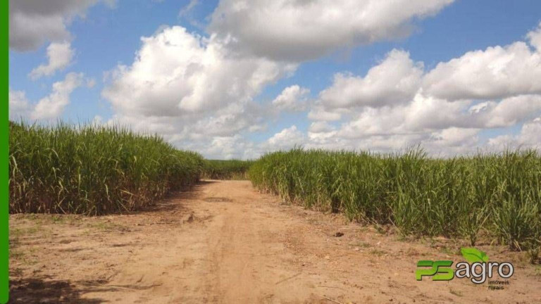 Imagem Sala Comercial à Venda, 2.500.000 m² em Barra De Cunhaú - Canguaretama Imagem Sala Comercial à Venda, 2.500.000 m² em Barra De Cunhaú - Canguaretama