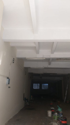 Imagem Sala Comercial para Alugar, 250 m² em Cambuci - São Paulo