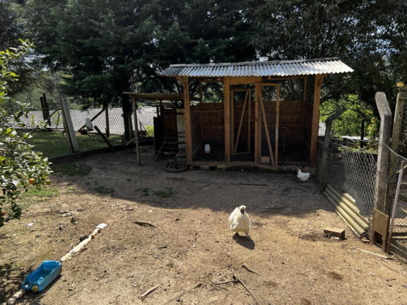 Imagem Chácara à Venda, 6.300 m² em Zona Rural - Tijucas Do Sul Imagem Chácara à Venda, 6.300 m² em Zona Rural - Tijucas Do Sul