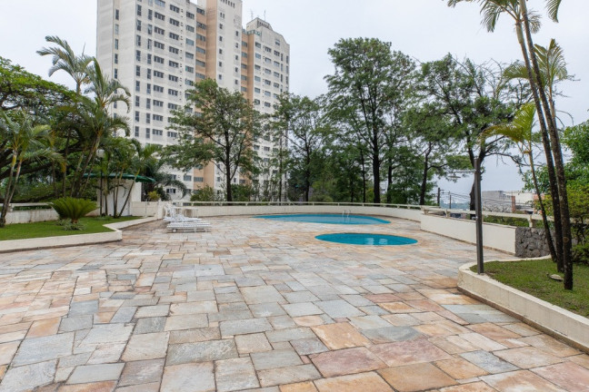 Imagem Imóvel com 4 Quartos à Venda, 300 m² em Morumbi - São Paulo Imagem Imóvel com 4 Quartos à Venda, 300 m² em Morumbi - São Paulo