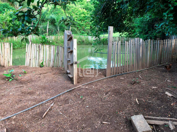 Imagem Imóvel com 2 Quartos à Venda, 1 m² em Correias (rural) - Bandeira Do Sul