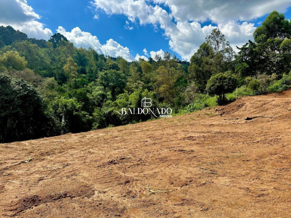 Imagem Terreno à Venda, 1.500 m² em Centro - Toledo