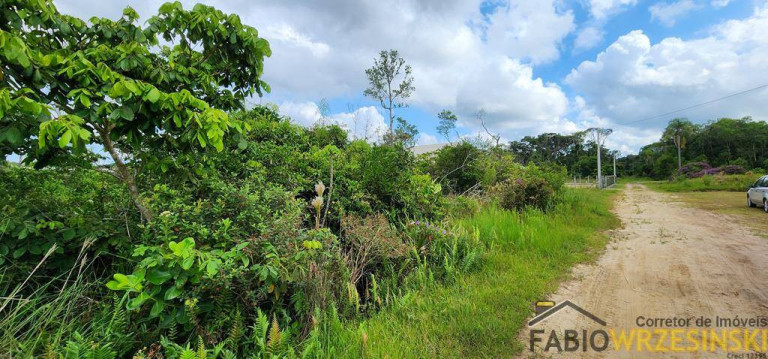 Imagem Terreno à Venda, 442 m² em Praia Do Erwino - São Francisco Do Sul