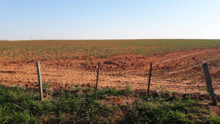 Imagem Chácara à Venda, 450 m² em Centro - Presidente Prudente Imagem Chácara à Venda, 450 m² em Centro - Presidente Prudente