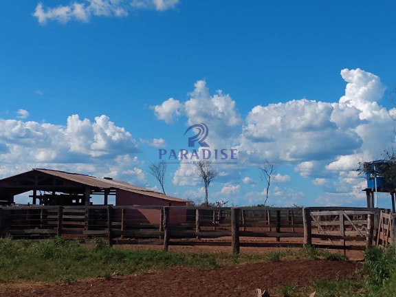 Imagem Fazenda à Venda, 17.799.000 m² em Zona Rural - Baianópolis Imagem Fazenda à Venda, 17.799.000 m² em Zona Rural - Baianópolis
