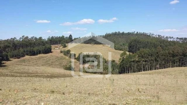 Imagem Imóvel com 5 Quartos à Venda, 19 m² em Taquari - Caldas