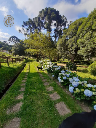 Imagem Chácara com 3 Quartos à Venda, 220 m² em Centro - Sapucaí-mirim Imagem Chácara com 3 Quartos à Venda, 220 m² em Centro - Sapucaí-mirim