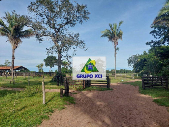 Fazenda à Venda, 13.775.000 m² em Zona Rural - Cocalinho