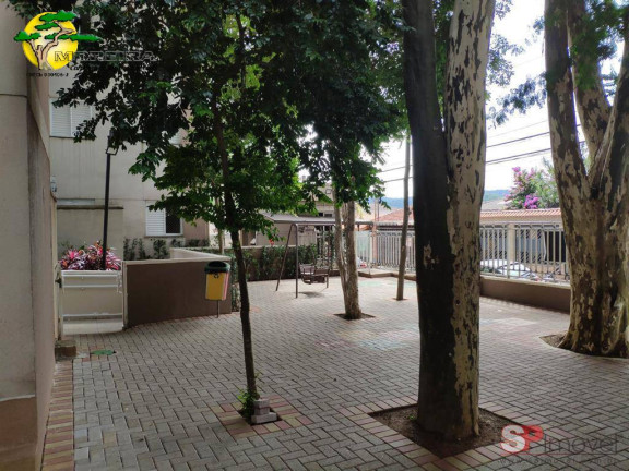 Imagem Apartamento com 3 Quartos à Venda, 55 m² em Vila Amália (zona Norte) - São Paulo Imagem Apartamento com 3 Quartos à Venda, 55 m² em Vila Amália (zona Norte) - São Paulo
