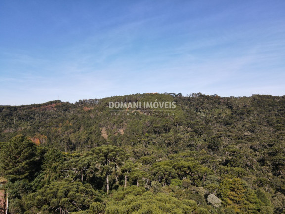 Imagem Terreno à Venda, 4.300 m² em Região Do Alto Da Boa Vista - Campos Do Jordão Imagem Terreno à Venda, 4.300 m² em Região Do Alto Da Boa Vista - Campos Do Jordão