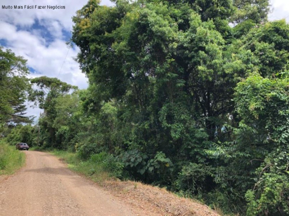 Imagem Terreno à Venda, 5 m² em Nove Colônias - Nova Petrópolis