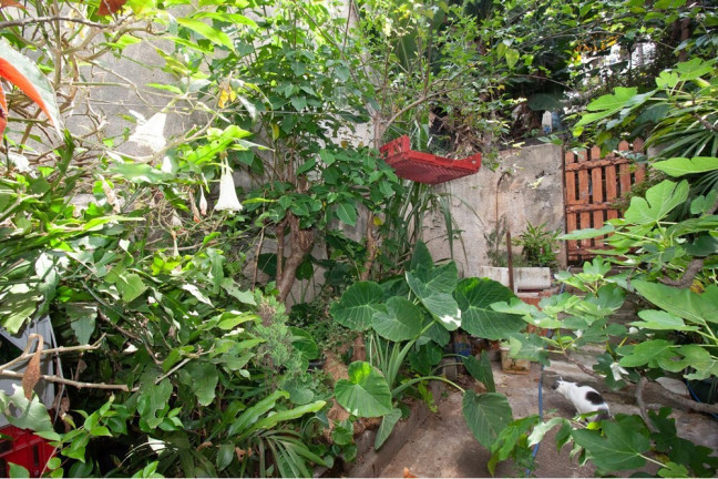 Imagem Casa com 3 Quartos à Venda, 154 m² em Bela Vista - São Paulo