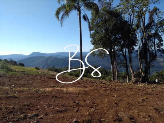 Imagem Terreno à Venda, 30.000 m² em Linha Carahá - Gramado