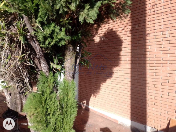 Imagem Casa com 3 Quartos à Venda, 210 m² em Centro - Pirassununga