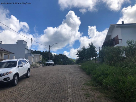 Imagem Terreno à Venda, 360 m² em Br 116 - Nova Petrópolis Imagem Terreno à Venda, 360 m² em Br 116 - Nova Petrópolis