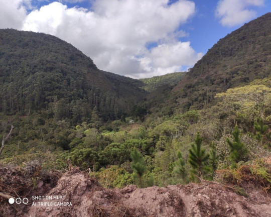 Imagem Imóvel à Venda, 2.500.000 m² em Fazenda Bela Vista - Nova Friburgo Imagem Imóvel à Venda, 2.500.000 m² em Fazenda Bela Vista - Nova Friburgo