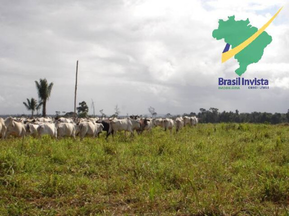 Imagem Fazenda à Venda, 12 m² em Centro - Buerarema Imagem Fazenda à Venda, 12 m² em Centro - Buerarema