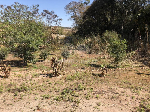 Imagem Terreno à Venda, 756 m² em Machadinho - Jarinu Imagem Terreno à Venda, 756 m² em Machadinho - Jarinu