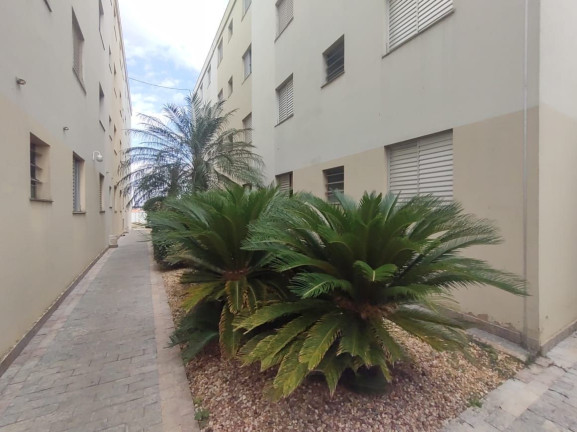 Imagem Apartamento com 2 Quartos à Venda, 56 m² em Jardim Elite - Piracicaba Imagem Apartamento com 2 Quartos à Venda, 56 m² em Jardim Elite - Piracicaba