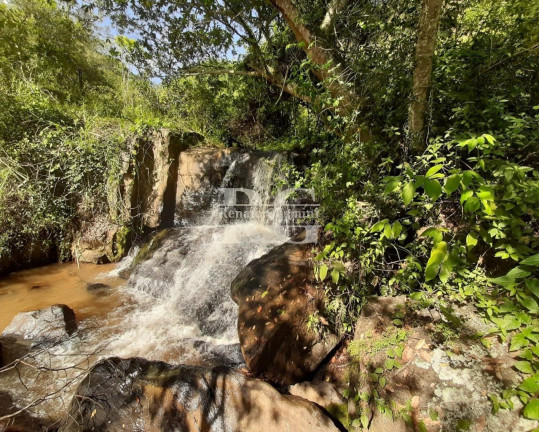 Imagem Imóvel com 3 Quartos à Venda, 629.200 m² em Nova Reta - Mendes