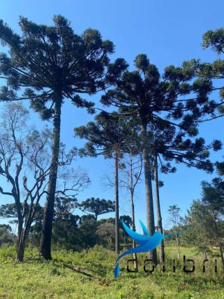 Imagem Terreno à Venda, 5.220 m² em Trigolândia - Piên Imagem Terreno à Venda, 5.220 m² em Trigolândia - Piên