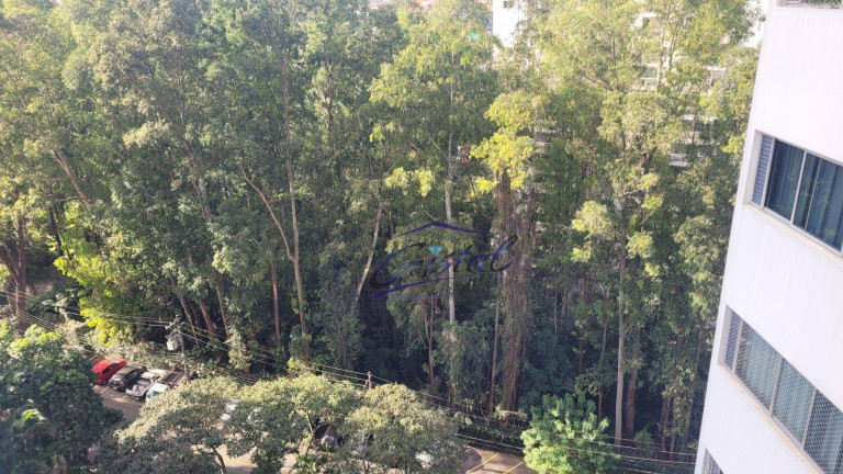 Imagem Apartamento com 2 Quartos à Venda, 53 m² em Butantã - São Paulo