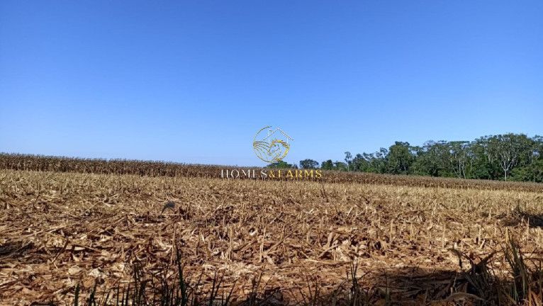 Imagem Imóvel com 3 Quartos à Venda, 1.800 m² em Centro - Itaúba Imagem Imóvel com 3 Quartos à Venda, 1.800 m² em Centro - Itaúba
