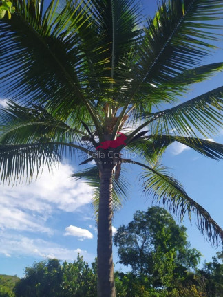 Imagem Chácara com 1 Quarto à Venda, 2.335 m² em São Caetano - Italva