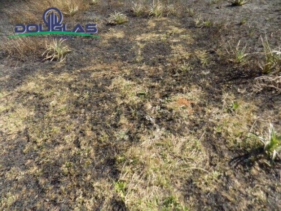 Imagem Terreno à Venda, 853 m² em Viamão