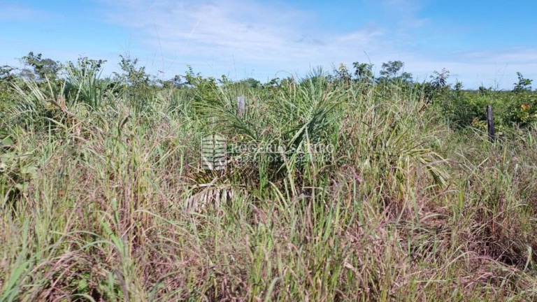 Imagem Imóvel à Venda, 300 m² em Plano Diretor Sul - Palmas Imagem Imóvel à Venda, 300 m² em Plano Diretor Sul - Palmas