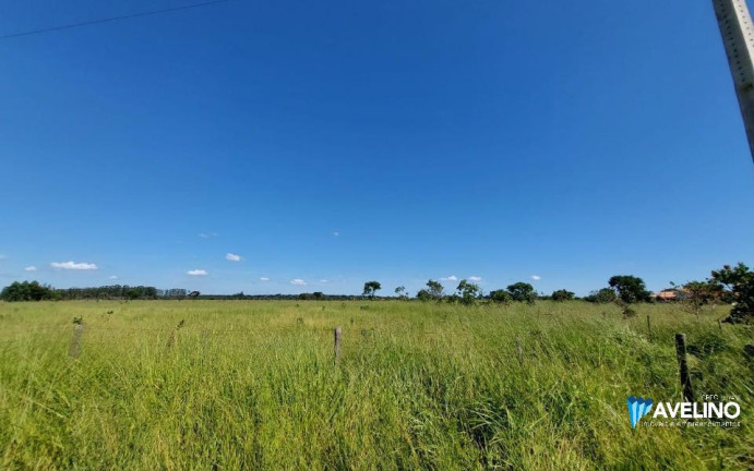 Imagem Terreno à Venda, 10.000 m² em Chácara Das Mansões - Campo Grande