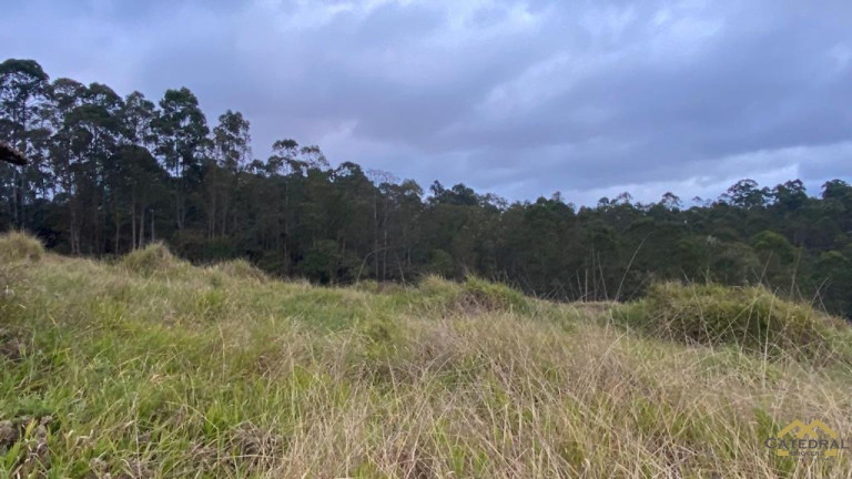Imagem Terreno à Venda, 27.000 m² em Campo Largo - Jarinu Imagem Terreno à Venda, 27.000 m² em Campo Largo - Jarinu
