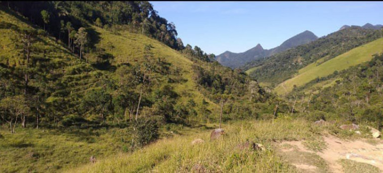 Imagem Fazenda à Venda, 726.000 m² em Tomba - Feira De Santana Imagem Fazenda à Venda, 726.000 m² em Tomba - Feira De Santana