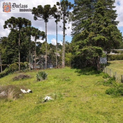 Imagem Terreno à Venda, 1.330 m² em Jardim Do Embaixador - Campos Do Jordão