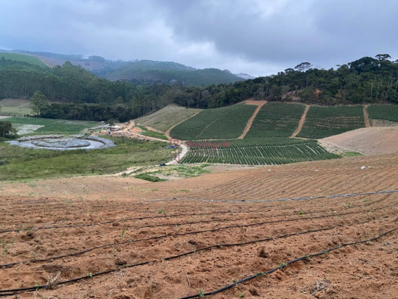 Imagem Imóvel à Venda, 558.000 m² em Pedra Azul - Domingos Martins Imagem Imóvel à Venda, 558.000 m² em Pedra Azul - Domingos Martins