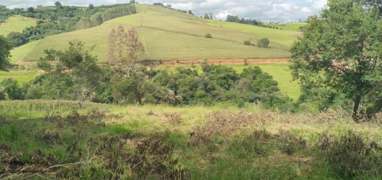 Imagem Imóvel à Venda, em Roseira - Bandeira Do Sul Imagem Imóvel à Venda, em Roseira - Bandeira Do Sul
