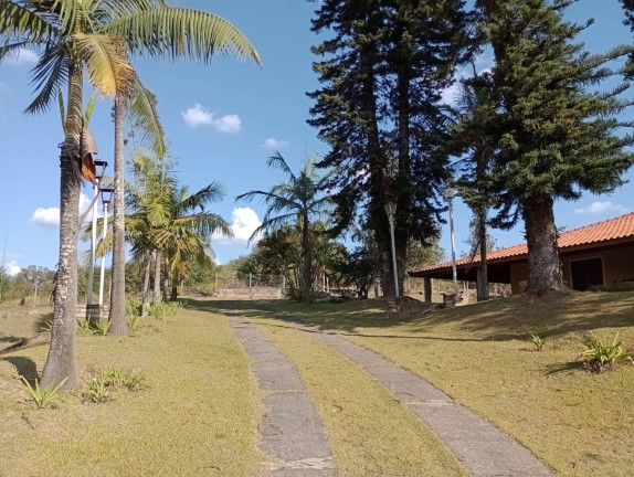 Imagem Chácara com 4 Quartos à Venda, 12.000 m² em Ortizes - Piedade