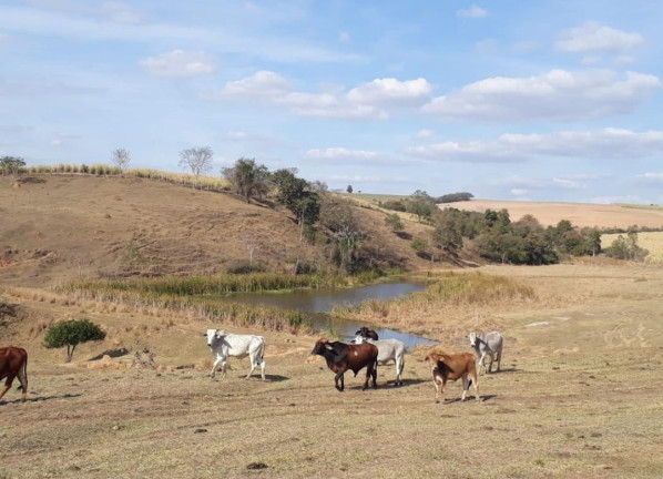 Imagem Fazenda à Venda, 81 m² em Rural - Tietê Imagem Fazenda à Venda, 81 m² em Rural - Tietê