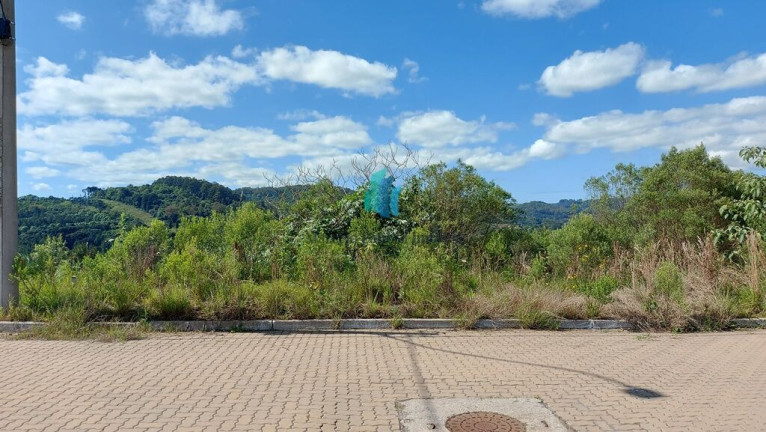 Imagem Terreno à Venda, 375 m² em Barracão - Bento Gonçalves Imagem Terreno à Venda, 375 m² em Barracão - Bento Gonçalves